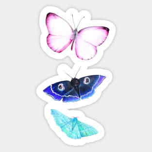 Butterflies and Moths Pattern - Black Sticker